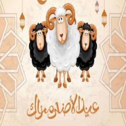 images/eid/2021/07.jpg